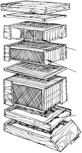 It will be quite obvious from this article that we are still beginners in beekeeping. All the better! Often the greatest help to the novice is the example of another amateur's success, rather than or in addition to the advice of experts.